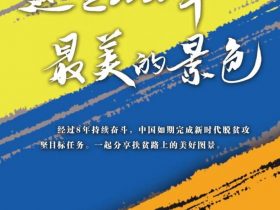 这是2020年最美的景色